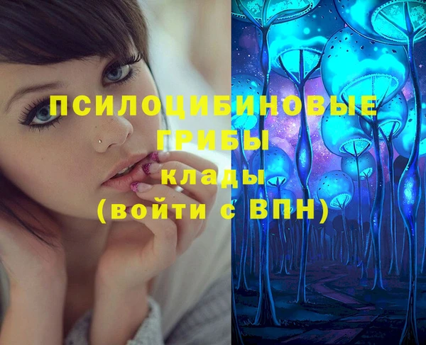 прущие грибы Михайловск