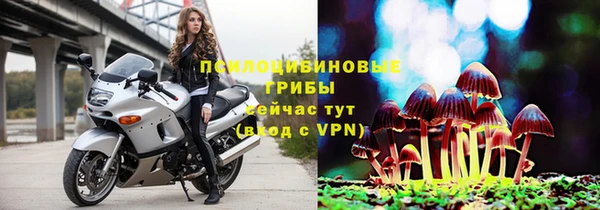 прущий лед Алексин