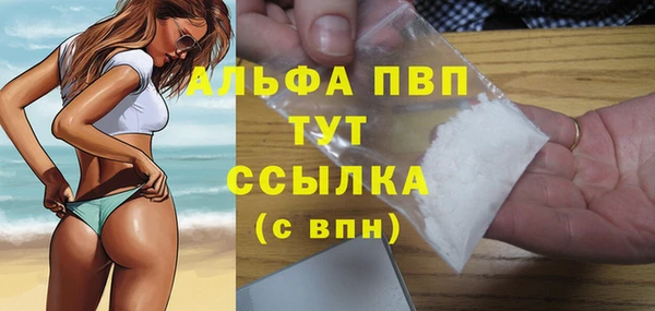 прущие грибы Михайловск